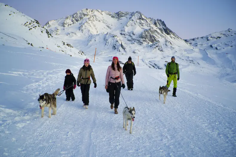 Dit zijn de 20 leukste activiteiten in Val Thorens 6 Je kunt tal van bijzondere activiteiten in Val Thorens doen die je niet zo snel elders zult vinden zoals cani-wandelen. © A. Brot. / OT Val Thorens
