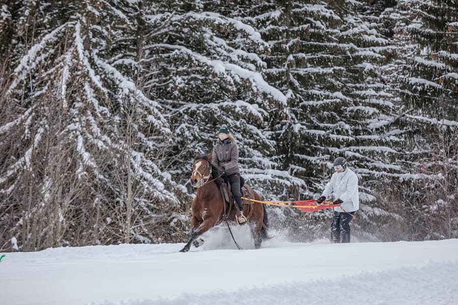 Op wintersport in Megève kun je ook alternatieve sneeuwsporten uitproberen zoals joering: jezelf op ski's laten voorttrekken door een paard. © Megève Tourisme / Simon Garnier